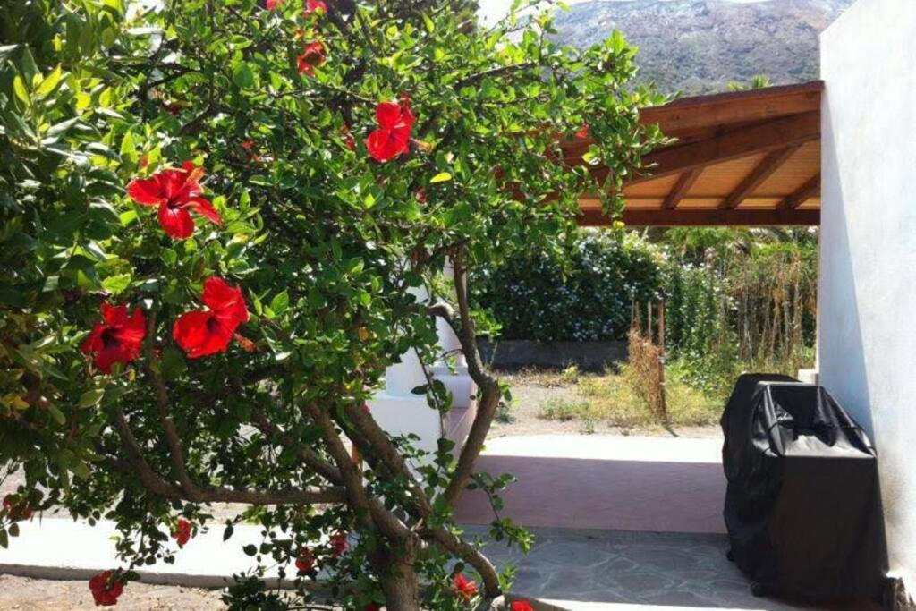 Villa By The Vulcano - 70Mq Plus Large Garden And Patio Екстер'єр фото