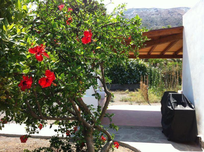 Villa By The Vulcano - 70Mq Plus Large Garden And Patio Екстер'єр фото